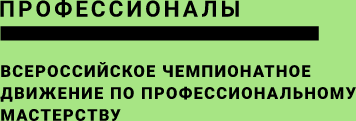 Финал Чемпионата по профессиональному мастерству «Профессионалы»